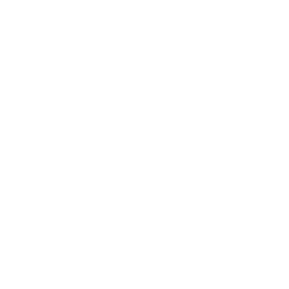 FJD TRION logo